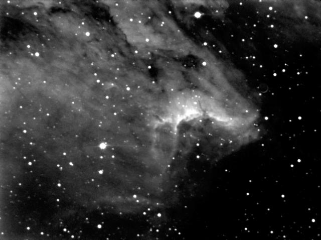 PELICAN NEBULA PELICAN NEBULA