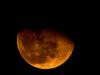 Rising Moon Rising Moon