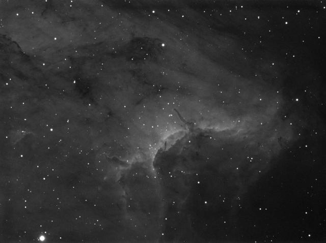 Pelican wide field Pelican wide field