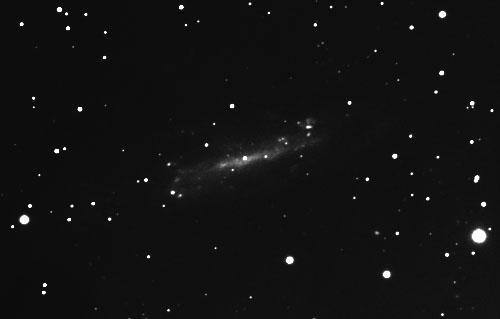 NGC4236 in DRACO NGC4236 in DRACO