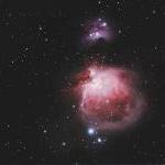 M42 Mallincam by Daniel Borcard