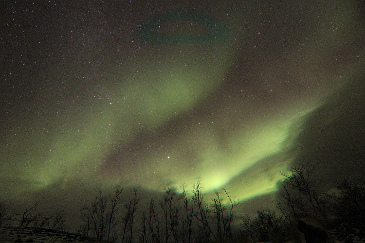 Aurora