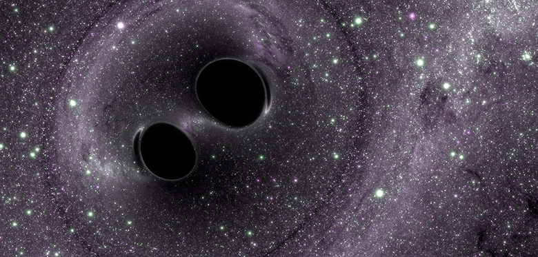 Black Holes